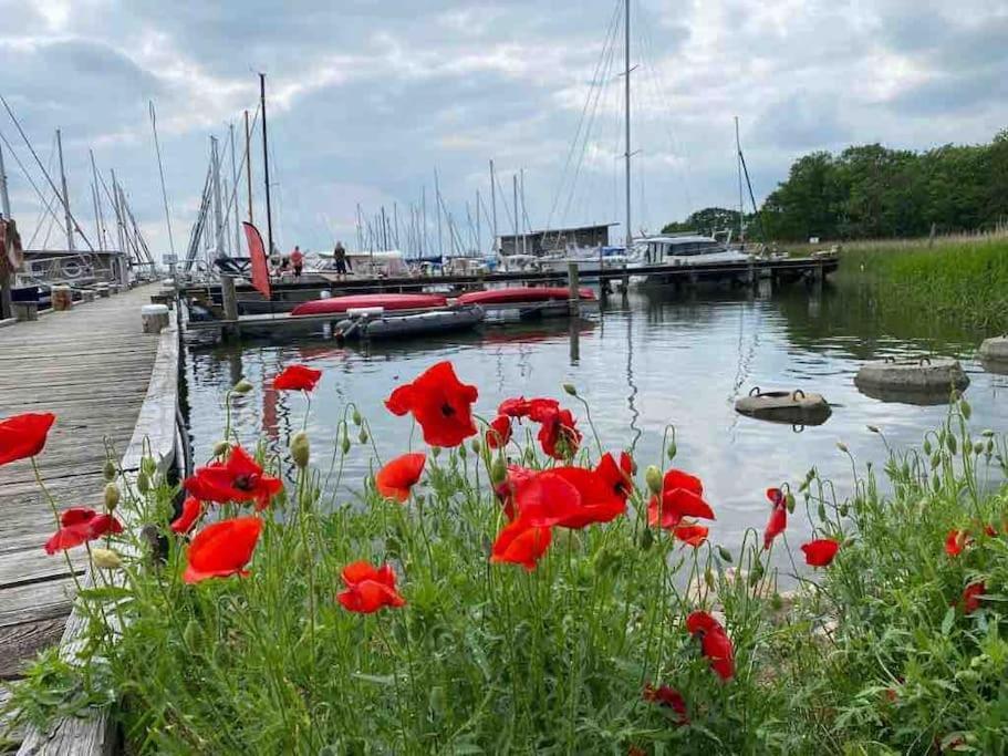 Ferienhaus Mit Wasserblick Auf Der Insel Usedom Krummin Extérieur photo